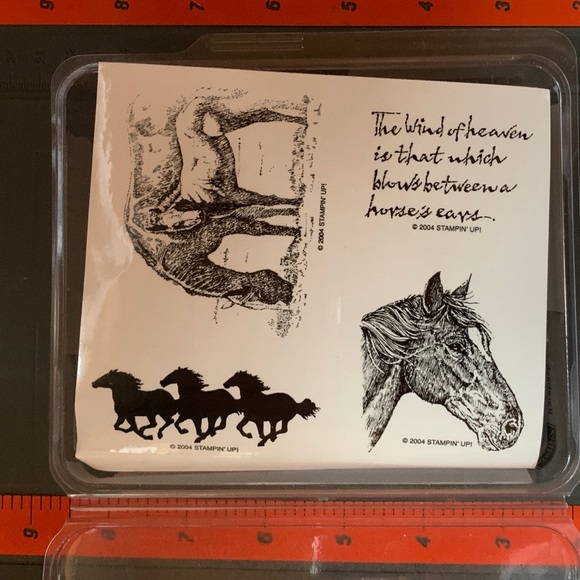 Stampin’ Up! BAREBACK